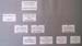 La organizzazione della sicurezza nel III Reich