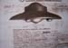 NAZI German UFO projects'.