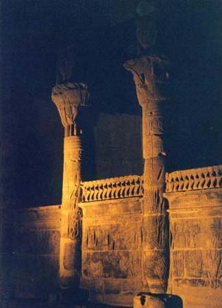 nocturnal promenade