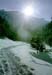 Neve